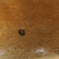 抹茶茶碗 12