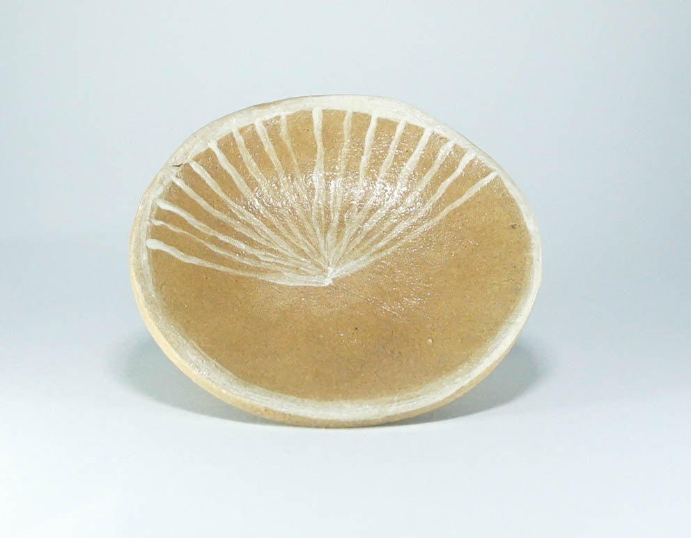 陽光豆皿